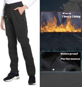 Womens Snow Ski Pants Waterproof Windproof Fleece Lined Warm Hiking Insulated Pants (size: L)